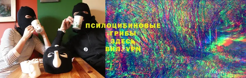 маркетплейс состав  гидра ссылка  Верхняя Тура  Псилоцибиновые грибы MAGIC MUSHROOMS 